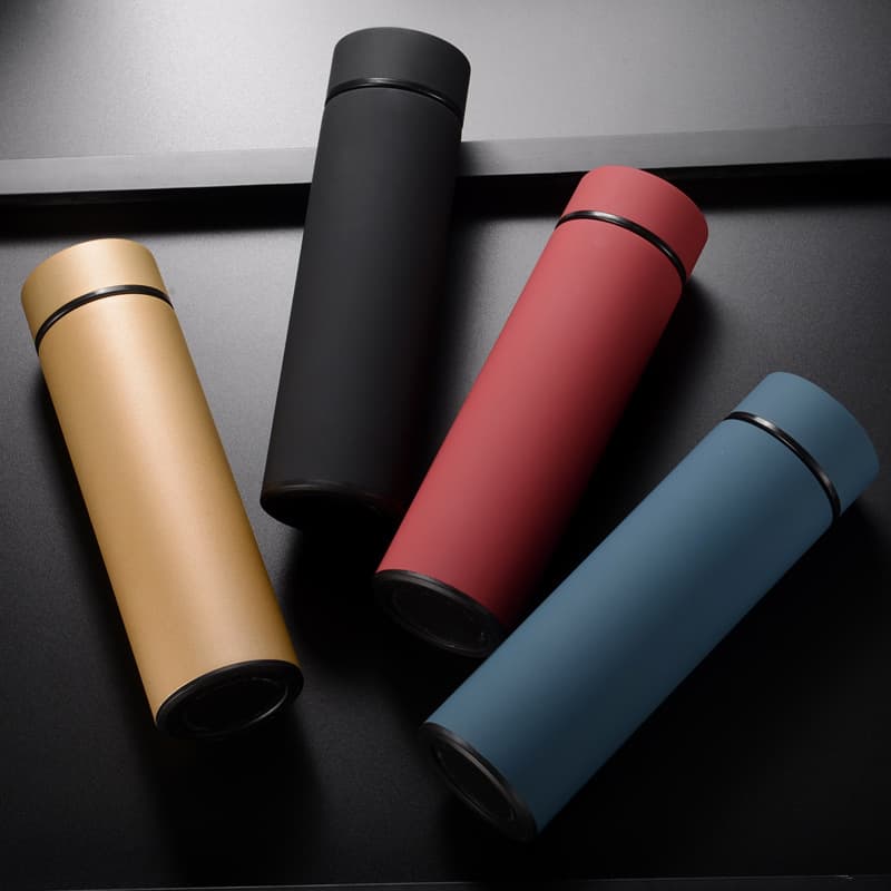 Insulated Stainless Steel Water Bottle
